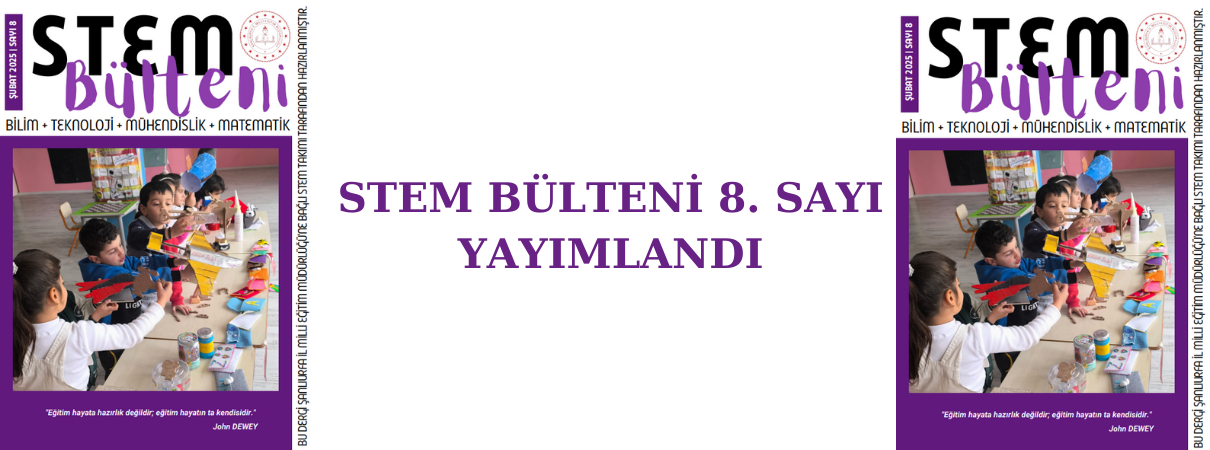 STEM BÜLTENİ 8. SAYI YAYIMLANDI