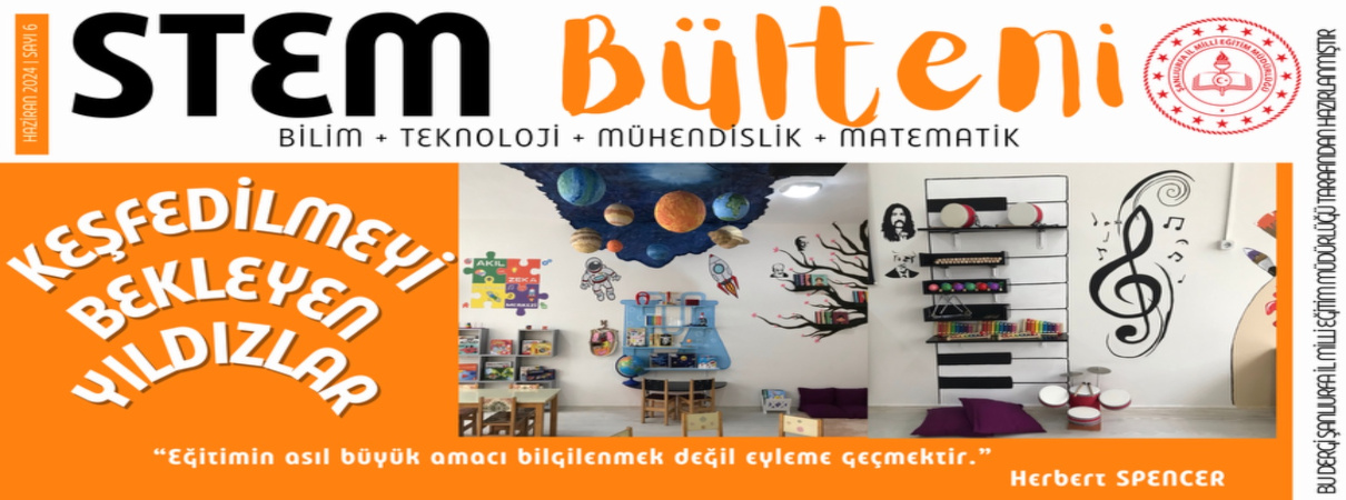 STEM Bülteni 6. Sayı Yayında